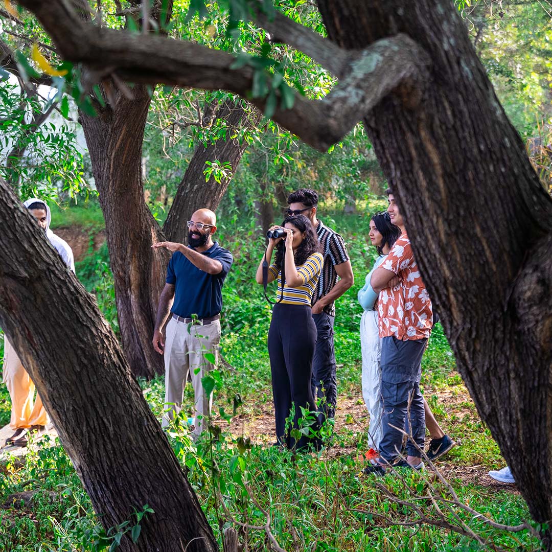 Guided nature walk with group exploring green forest surroundings.